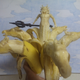 Illustration for article titled This Guys Art Is Bananas. Literally.